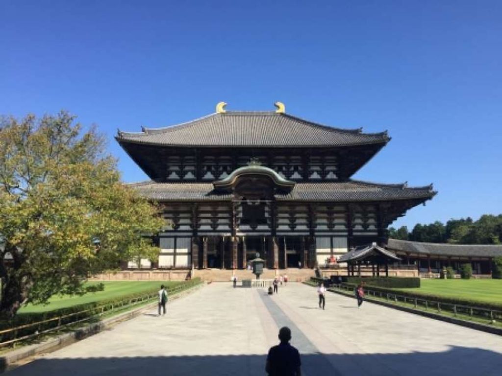 Todaiji Temple Great Buddha Statue 東大寺 大仏 Gowithguide