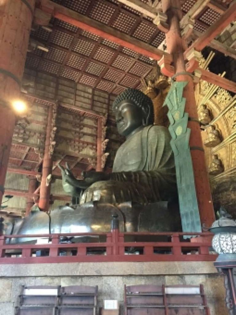 Todaiji Temple Great Buddha Statue 東大寺 大仏 Gowithguide