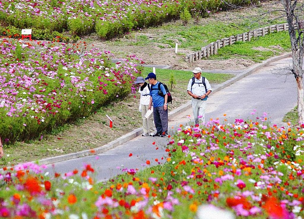 things-to-do-in-tokyo-in-may-events-and-festivals-gowithguide