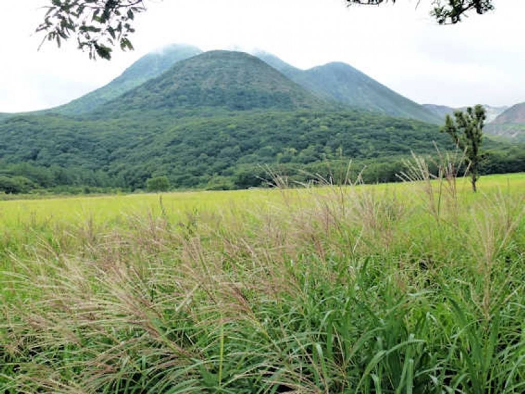 Tadawara Marsh In The Kuju Mountain Range Gowithguide