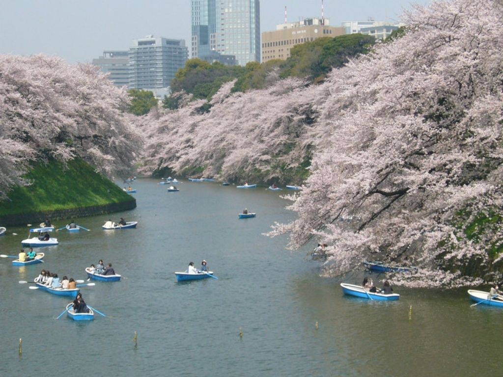 Tokyo in April: Things to do in 2020 | GoWithGuide