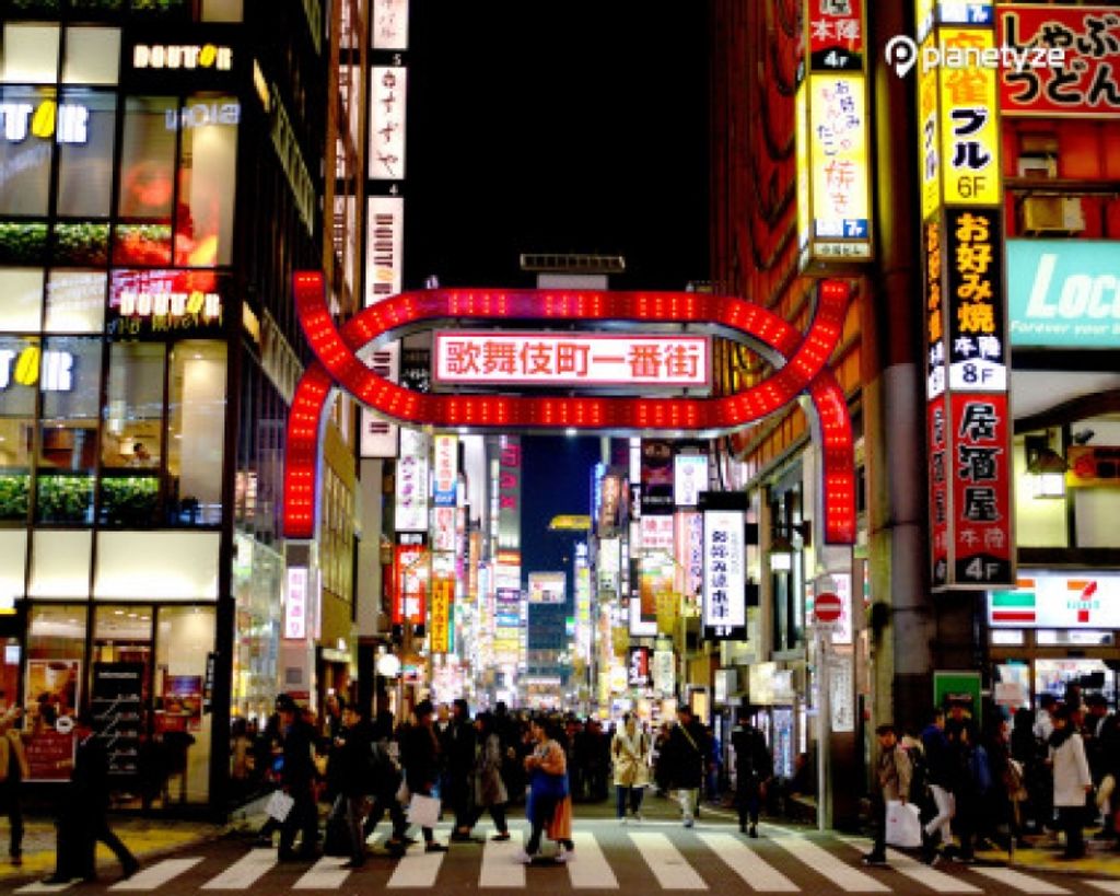 Tokyo Neon Lights: 5 Best Spots to See Tokyo at Night | GoWithGuide