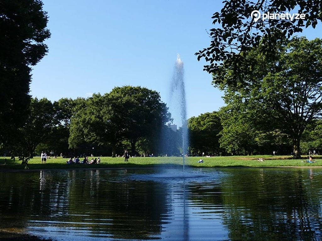 Yoyogi Park (Shibuya, Tokyo) Complete Guide Before You Visit GoWithGuide