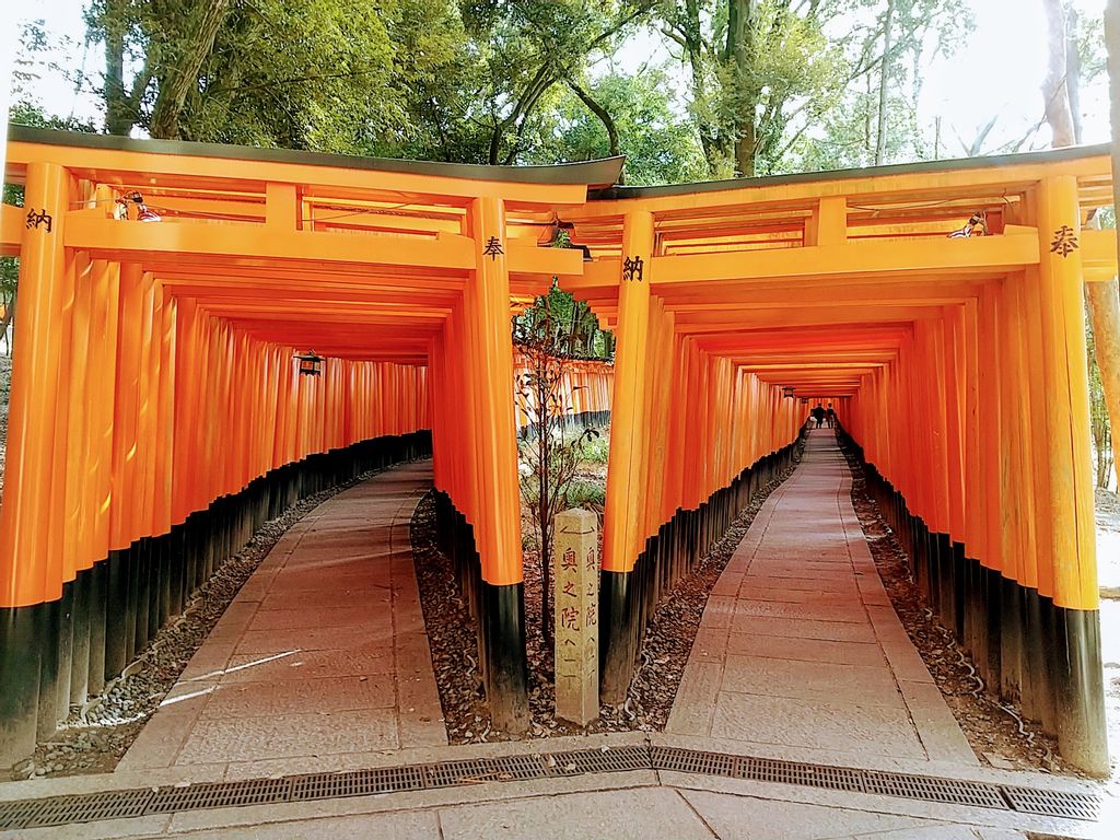 Fushimi Inari Shrine Marvelous Vermilion Torii Gates Gowithguide