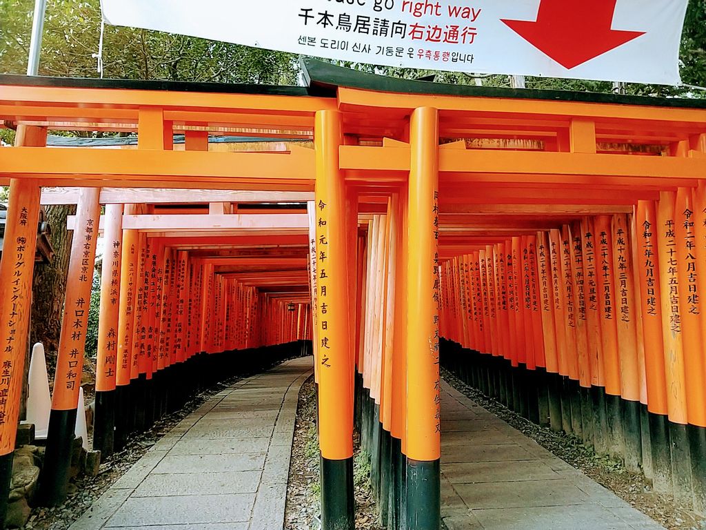 Fushimi Inari Shrine Marvelous Vermilion Torii Gates Gowithguide