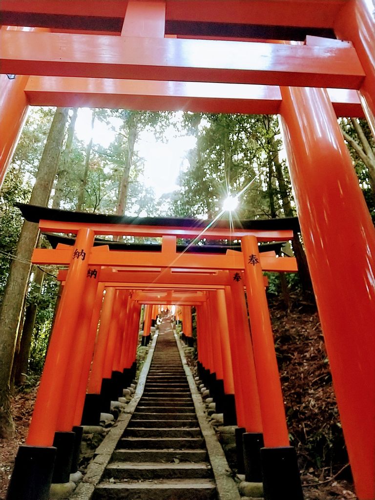 Fushimi Inari Shrine, marvelous vermilion torii gates! | GoWithGuide