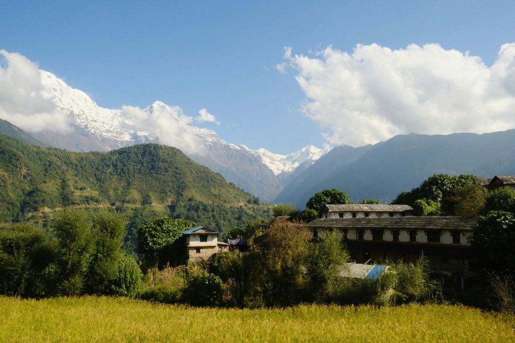 A Wildlife conservancy in Nepal 