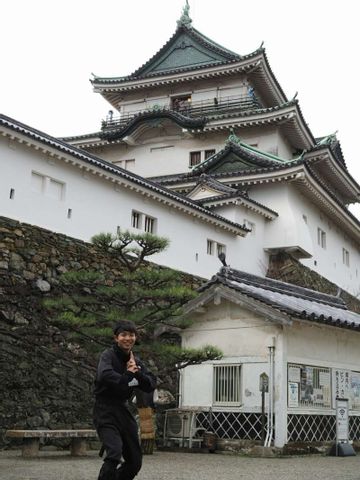 Wakayama Castle 2 hour tour