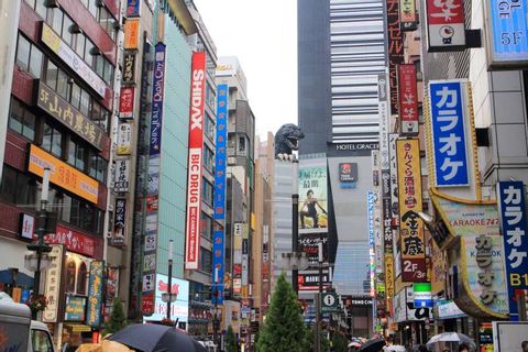 Tokyo Night Tours Hire Your Own Guide Triplelights