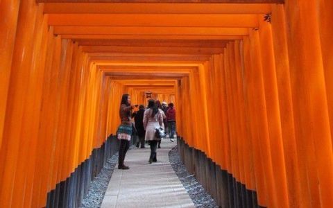 Kyoto Golden Route （Fushimi Inari, Kiyomizudera, Kinkakuji, Nijo Castle）
