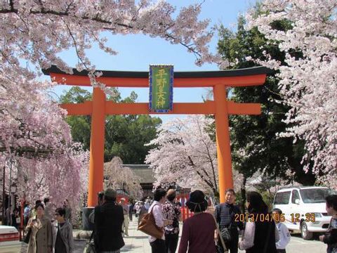Arashiyama Best Spot for Cherry Blossoms and Autumn Leaves