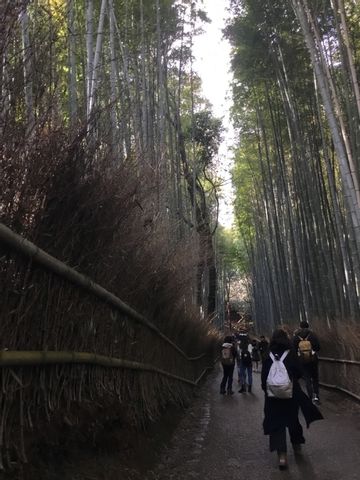 Kyoto Arashiyama tour of traditional and entertainment spots