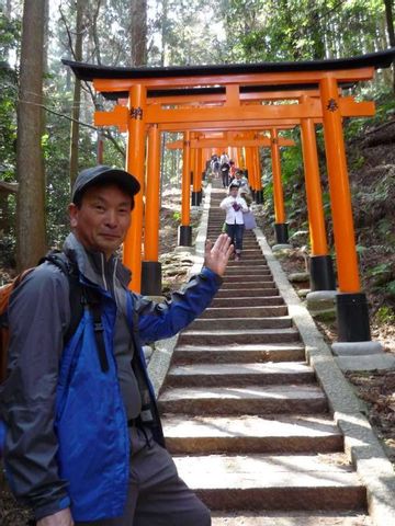 Kyoto Hiking tour Fushimi Inari to sanjusangen-do