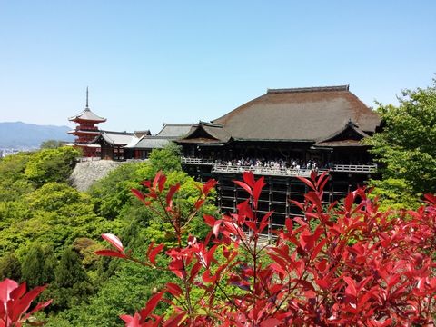 A Wonderful Half Day in Kyoto (East Kyoto) 4h