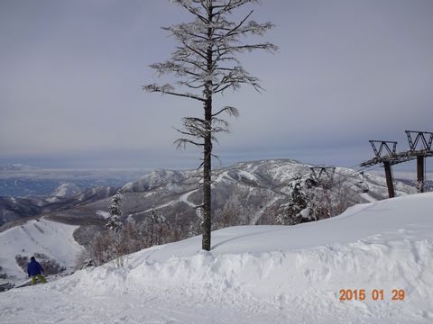 Ski Tour for 3 days to Japan Alps,  Shiga-High land or Hakuba Highland　with beginners' free lesson