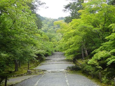 Arashiyama Sagano Bamboo Forest