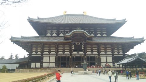 Customized Private Tour in Nara