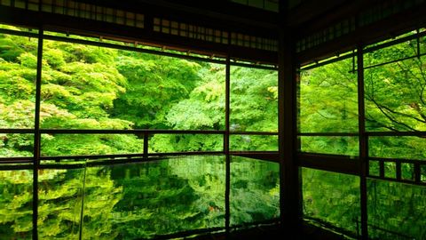 Hidden Gems of Kyoto limited during only 2 months between April and June