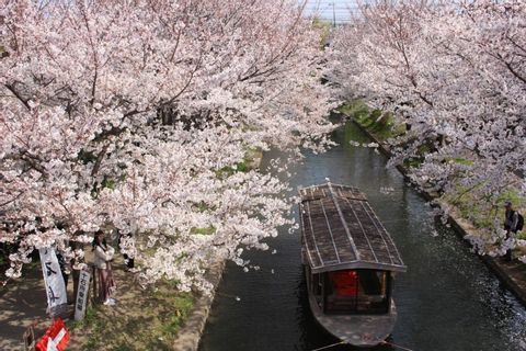 Your very own Kyoto Tour! (Mar. 20th - Apr. 20th)