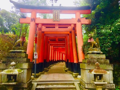 Full-Day Private Guided Tour to Kyoto Old Town and Temples