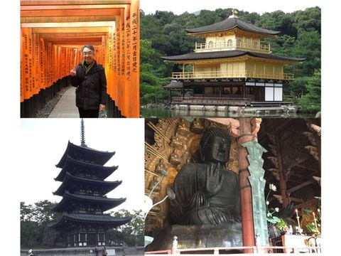 Two days  Door to Door tour of Kyoto & Nara from Tokyo