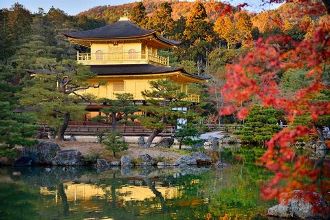 Kyoto Golden Route : Fushimi Inari and Arashiyama area