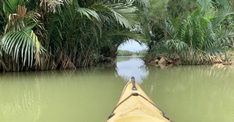 Kayaking from Cocopalm Forest to Abandoned Village