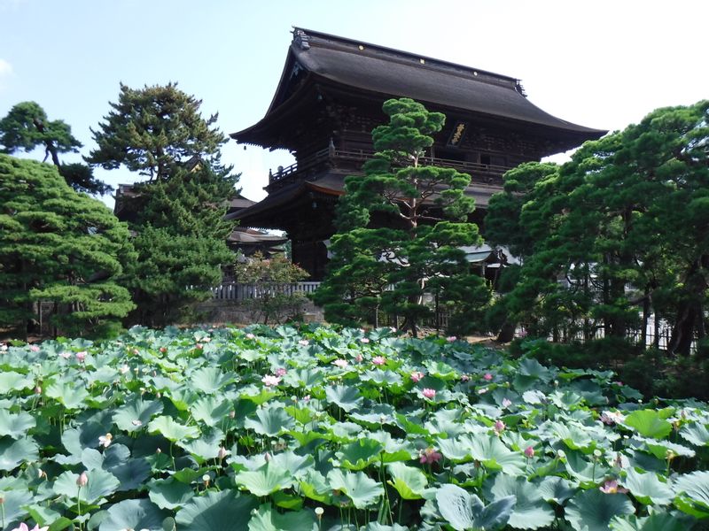 Nagano Private Tour - Zenkoji Temple, Nagano