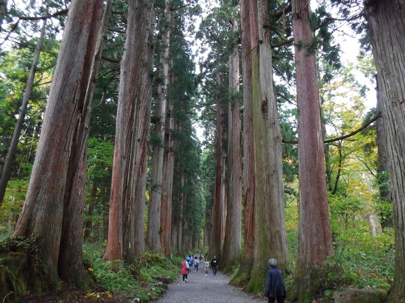 Nagano Private Tour - Okusha Shrine, Togakushi