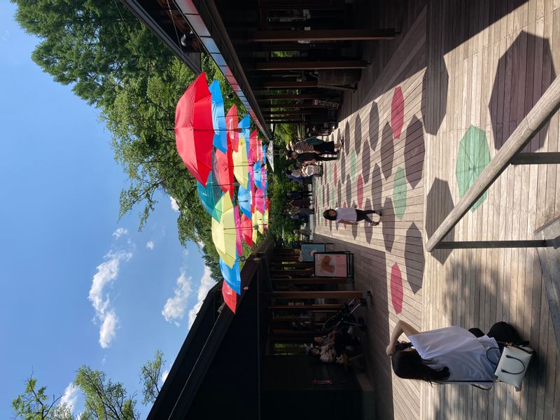 Nagano Private Tour - Harunire Terrace, Karuizawa