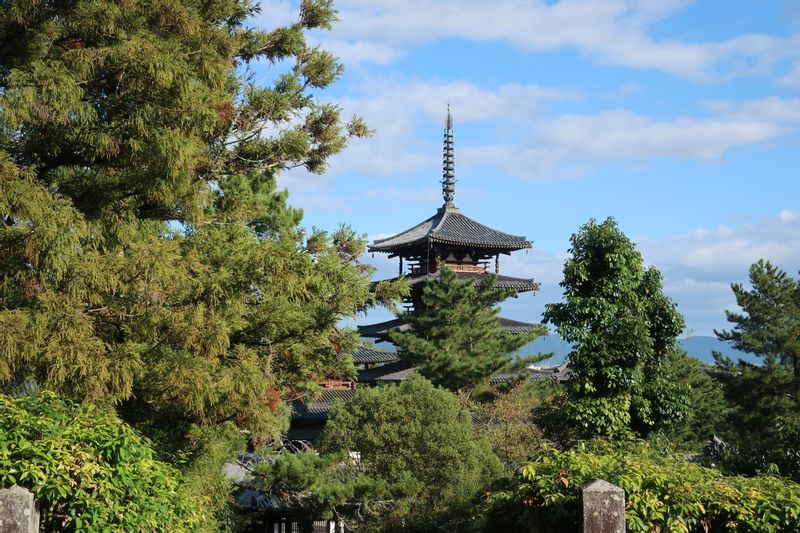 Shiga Private Tour - Horyuji Japan's first UNESCO site