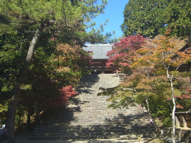 Shiga Private Tour - Jingoji Temple in Takao