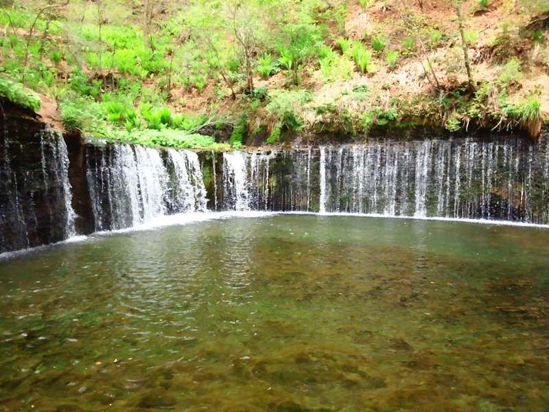 Nagano Private Tour - Shiraito Waterfall