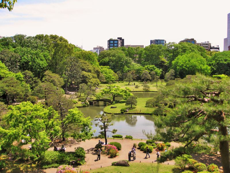 Tokyo Private Tour - Rikugien Japanese garden in Tokyo