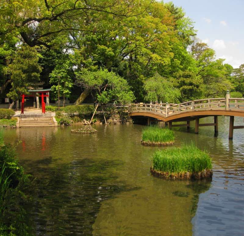 Tokyo Private Tour - Senzokuike park in Tokyo's Ota Ward
