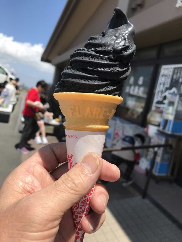 Kanagawa Private Tour - Owakudani's Black Ice Cream