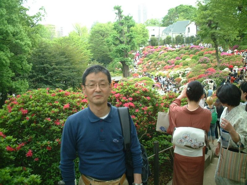 Kanagawa Private Tour - Nezu Shrine : Azalea in full bloom.