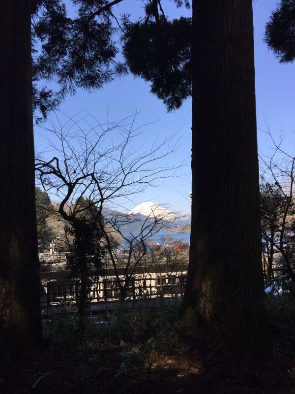 Kanagawa Private Tour - Hakone cedar shaded old route 1 