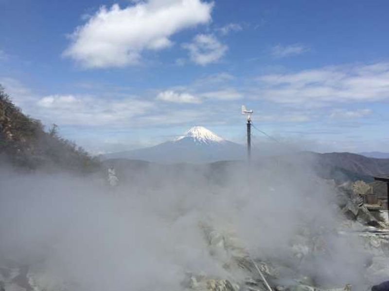 Kanagawa Private Tour - Owakudani volcanic valley (currently closed).