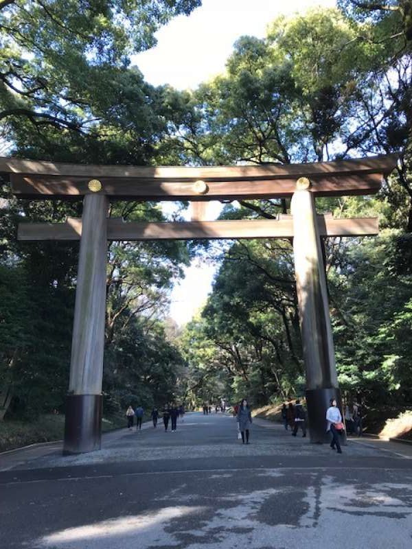 Tokyo Private Tour - This is the Torii Gate at Tokyo`s Meiji Shrine, the biggest wooden Torii Gate in Japan. Walking through this divine gate, you may feel the Diety purifing your soul.