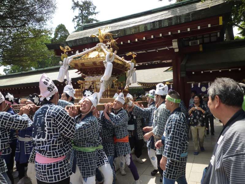 Tokyo Private Tour - tragbarer Schrein auf dem Fest.  Es wird gesagt, dass Gott des Schreins waehrend des Festes im traegbaren Schrein bleibt.