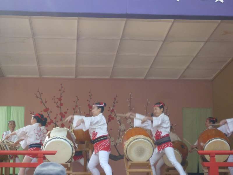 Tokyo Private Tour - Frauen in traditionellen Festjacken und -hosen schlagen japanische Trommeln auf dem Fest.