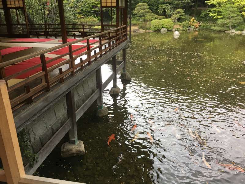 Fukuoka Private Tour - Yusentei Park ( the first Chisen Kaiyu styled Japanese garden in Fukuoka City.)