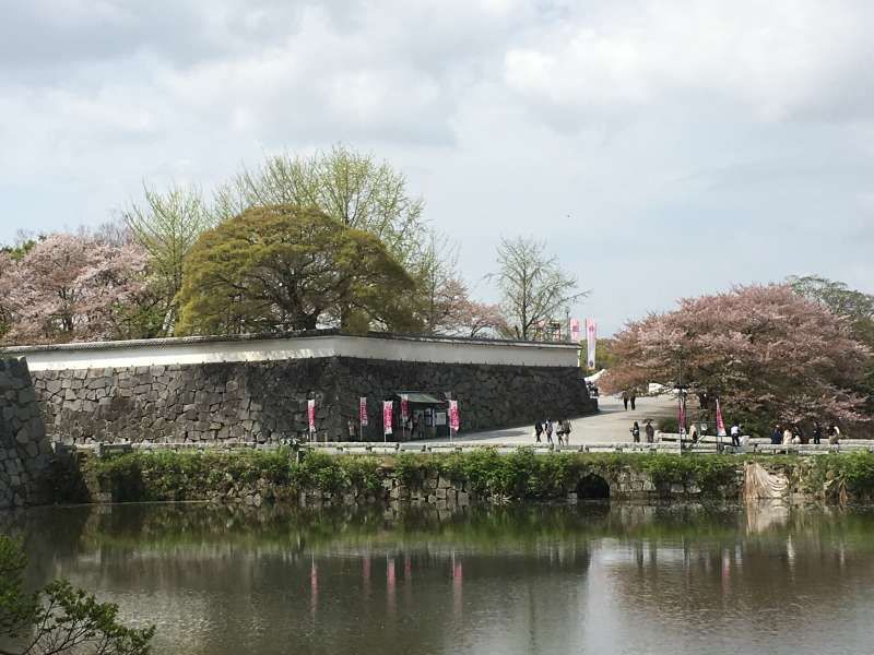 Fukuoka Private Tour - Fukuoka Castle Ruins