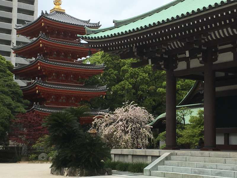 Fukuoka Private Tour - Tochoji Temple