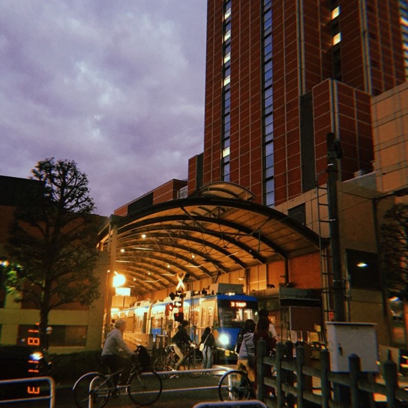 Tokyo Private Tour - Setagaya line tour