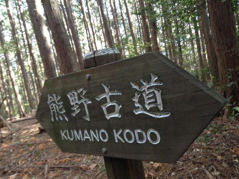 Osaka Private Tour - Wakayama Kumano Kodo pilgrimage 