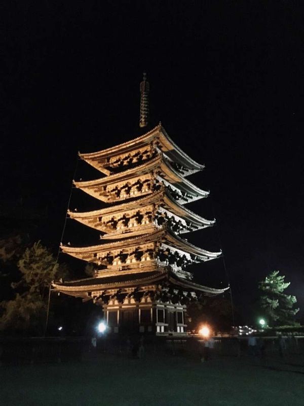 Osaka Private Tour - Kofukuji temple Nara 