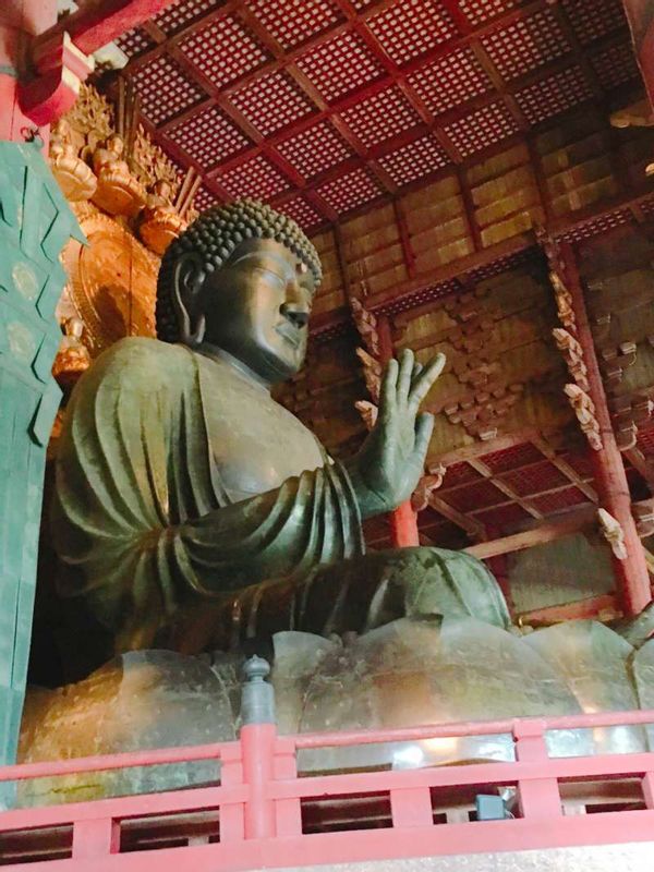 Osaka Private Tour - Great Buddha statue Nara