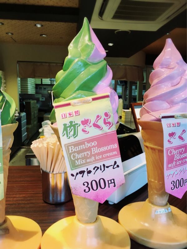 Osaka Private Tour - Bamboo and Cherry blossom!? flavor ice cream lol